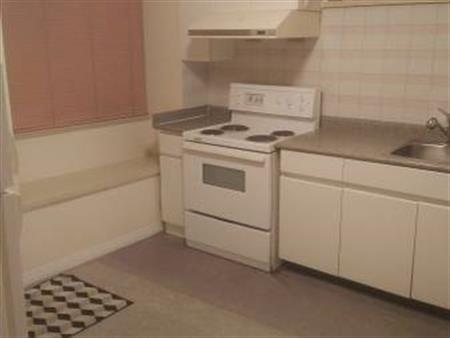 IMMEDIATE AVAILABILITY-1 BR Basement Suite East Vancouver