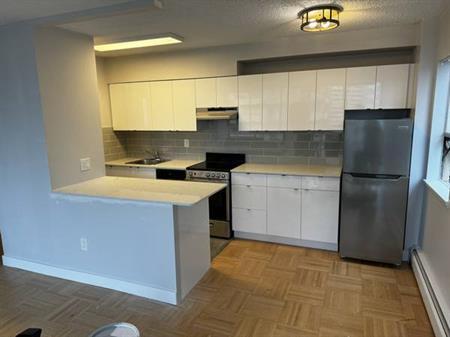 Newly Renovated 6th floor 1 Bedroom in the West End