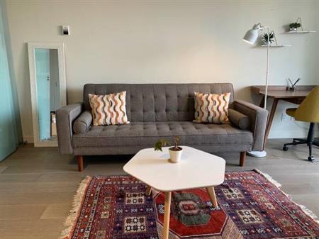 Modern New Furnished 1bed/1bath, 8th floor