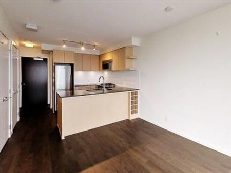 Air Conditioned 1 Bedroom Condo Near Richmond Centre