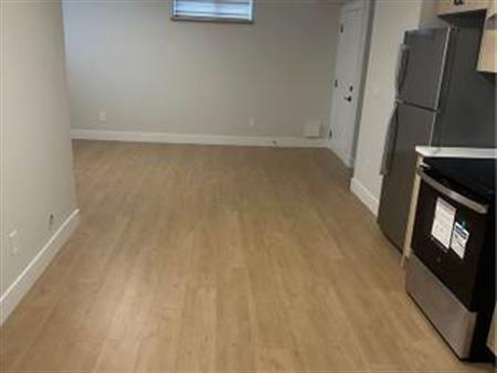 Brand new 2-bedroom basement available for rent.