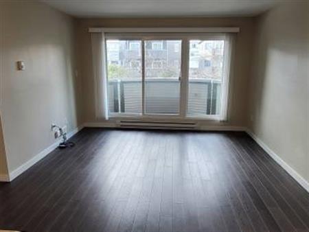 Beautiful one bedroom Dec 1 or later