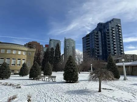 RENT DECREASE - Modern 1 Bedroom Condo - Avail. Dec 1st | 303 13 Ave Sw, Calgary