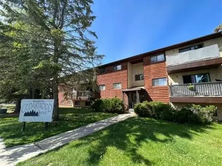 Spacious 2 Bedroom Units in Quiet Innisfail Building!! | 5220 41 Street, Innisfail