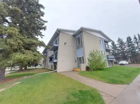 Beautiful One Bedroom Unit! | 5011 39 Street, Red Deer