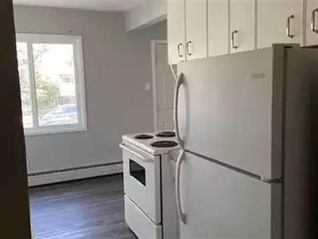 Lovley 1 Bedroom Apt in Professionally managed Building. | 10633 112 Street Northwest, Edmonton