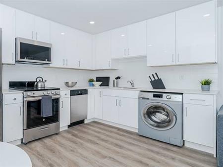 CHARACTER & MODERN - Dishwasher - LAUNDRY - Bright - CUTE - KITSILANO