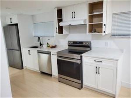 Newly Renovated 1 Bedroom Suite for Rent