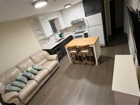 1 Bed 1 Bath Ground Suite for Rent