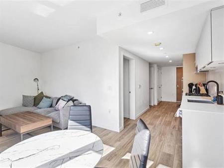 PET WELCOME FURNISHED 1 BEDROOM @ 210 E 5th Ave - AVAILABLE NOW