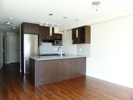 2BR+1 Bath - Main/Science World - Gym/Games Room/Rooftop - Pets OK!