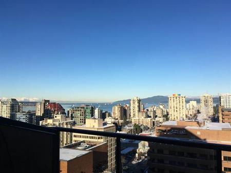 Views Galore: Downtown 3 bedroom, 2 bath - Dec 1st