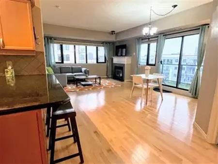 Stunning Fully Furnished 2-Bed, 2-Bath Condo with Parking for 2 & Downtown Views | 702 - 10319 111 Street NW, Edmonton