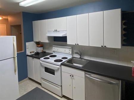 2 bedroom Apartment near SFU - Pet-friendly