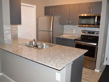 Central, Almost Brand New & Elegant 2 Bed, 1 Bath , Pantry,  A/C, EasyPull shelv | 2412 - 4641 128 Ave NE, Calgary