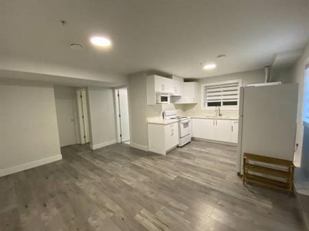 Utilities Included, Modern 1 bedroom, basement with in-suite laundry