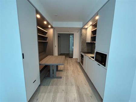 Brand-New 2 Bed 2 Bath Condo In Yorkville For Rent