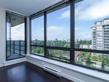 luxury high rise apartment 1 br 1 bath