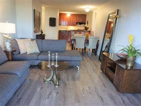 2 Bed, 1.5 Bath apartment in Mount Pleasant