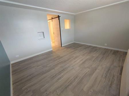 Newly Renovated 1 Junior Bedroom apartment in the Heart of Kitsilano