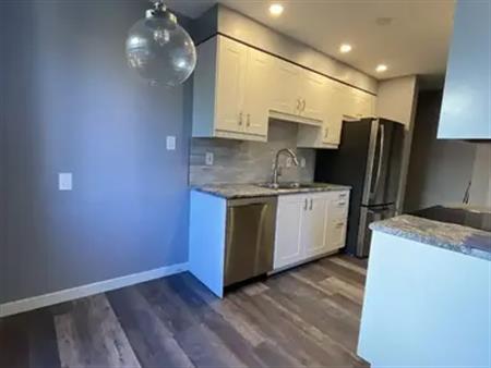 Newly renovated bright spacious townhouse in great location | 7 - 14105 82 Street Northwest, Edmonton