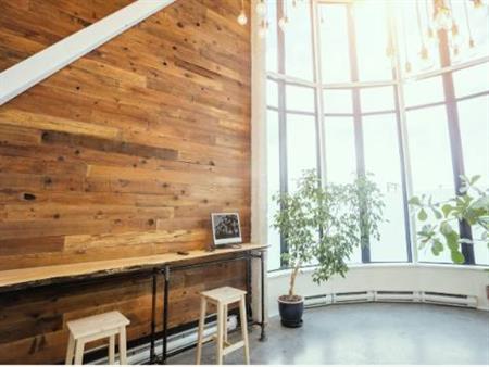 RARE LOFT 40ft Ceilings Soho District (Live/Work)