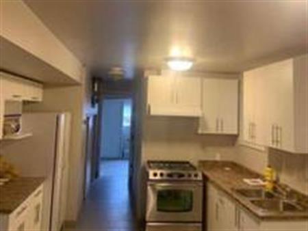 One bedroom basement suite- North Delta