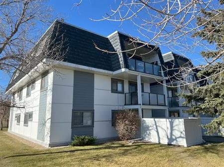 Quiet Newly renovated 2 Bedroom + Den, Large outdoor patio | 1101 - 3115 51 St SW, Calgary