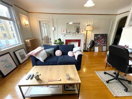 Elegant 1 bedroom flat in quiet Reno character building