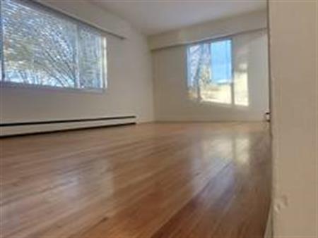 1 Bedroom Apartment - December 1