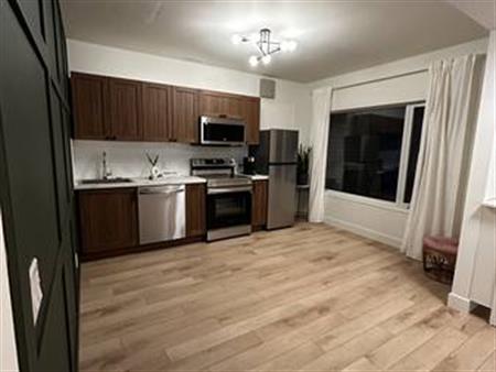 Newly Renovated Walk-Out Basement Suite, 1-Bedroom, 1-Bathroom