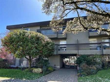 Experience Kitsilano: Studio Apartment Awaits!