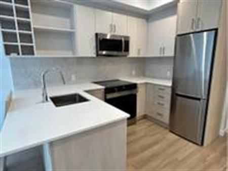 Brand new! Brand new! Brand new! One bedroom and Den with balcony