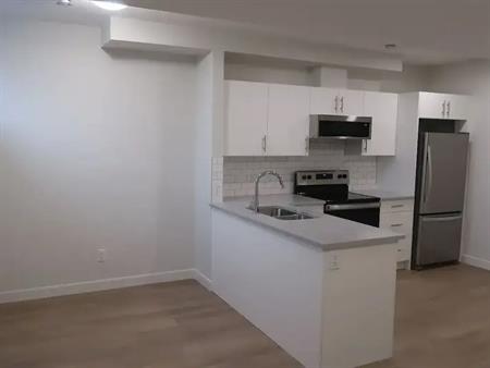 1 Bed 1 Bath Belvedere BASEMENT | Calgary