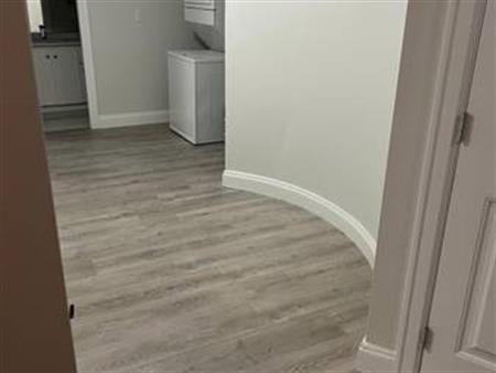 2 Bedroom Basement