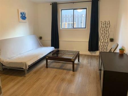 Fully Furnished 1Bed/1 Bath Suite