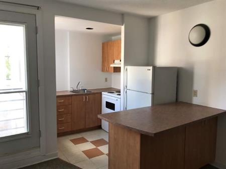 Studio - Montréal - $1,225 /mo