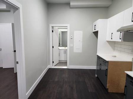 Brand New 1 Bedroom Basement