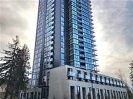 Brand New One Bedroom Condo - Melrose Tower