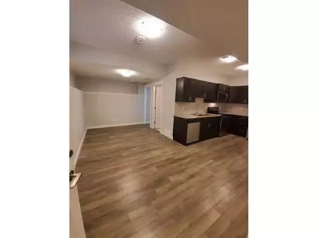 Spacious Basement Suite - MOVE IN BEFORE THE HOLIDAYS | 452 Reynalds Wynd, Leduc