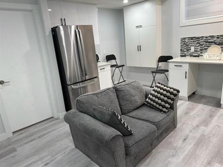 New Modern Basement Suite Cozy 2 Bedroom Basement at Chapelle Area | Edmonton