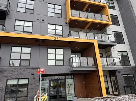 Brand new, modern 2 bedroom ground unit | 107 - 370 Dieppe Drive Southwest, Calgary