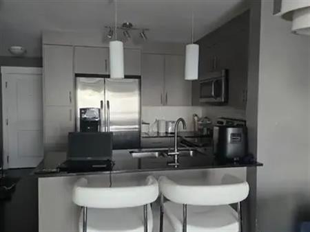 1 bedroom condo available for rent in the Skyview area. | 240 Skyview Ranch Rd NE, Calgary