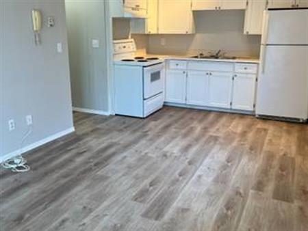 2 bdrm Apartment w/Washer/Dryer in Unit, Corner Suite!