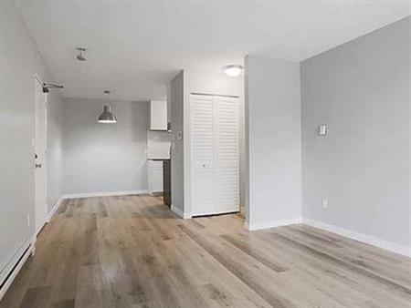 Newly Renovated, Large 1 Bedroom/1 Bath