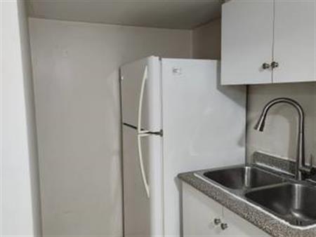 Spacious One Bedroom Basement Apartment for rent.