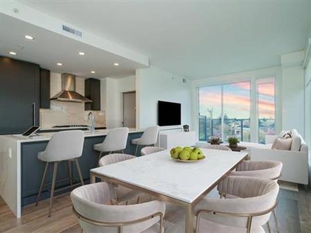 Luxury 2 bed 2 bath + flex condo 900 sqft