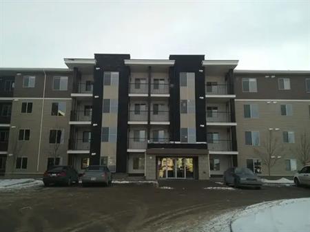 Spacious Apartment with two Bedrooms, one Bathroom and Parking (Pets allowed) | 355 Taralake Way NE, Calgary