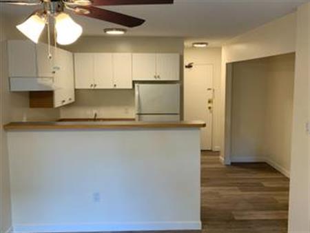 RENO'D BACH, NEW PLANK FLOOR & APPLIANCES, D/W, BALCONY, PARTIAL VIEWS