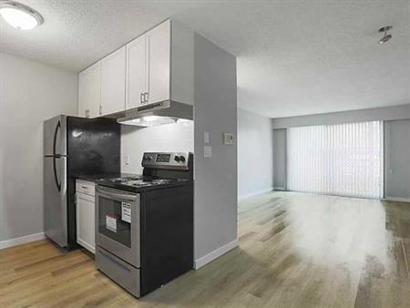 Well Maintained, Newly Renovated 1 Bed/1 Bath